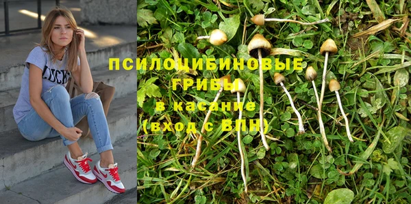 твердый Надым