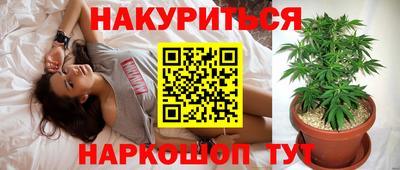сатива Отрадное